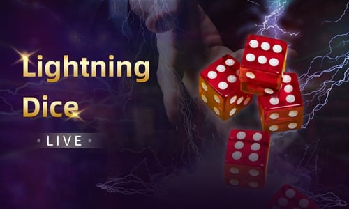 1333dbt